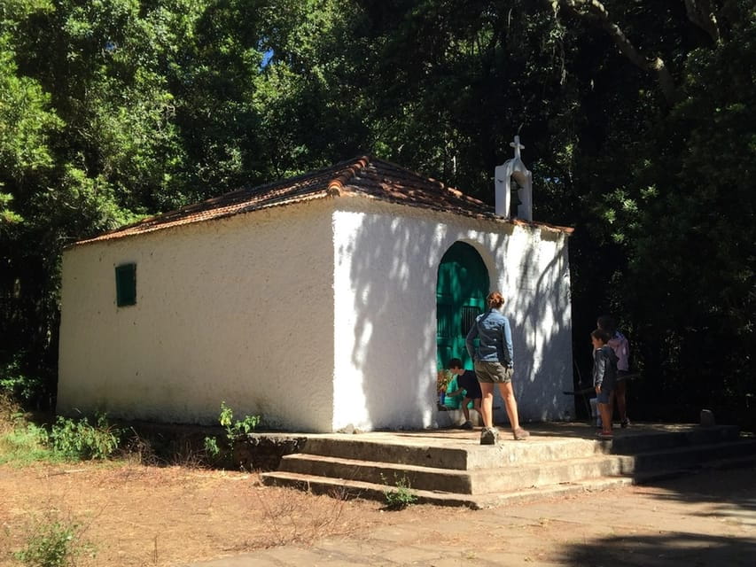 Colon Skies - Walking Through the Laurisilva Forest