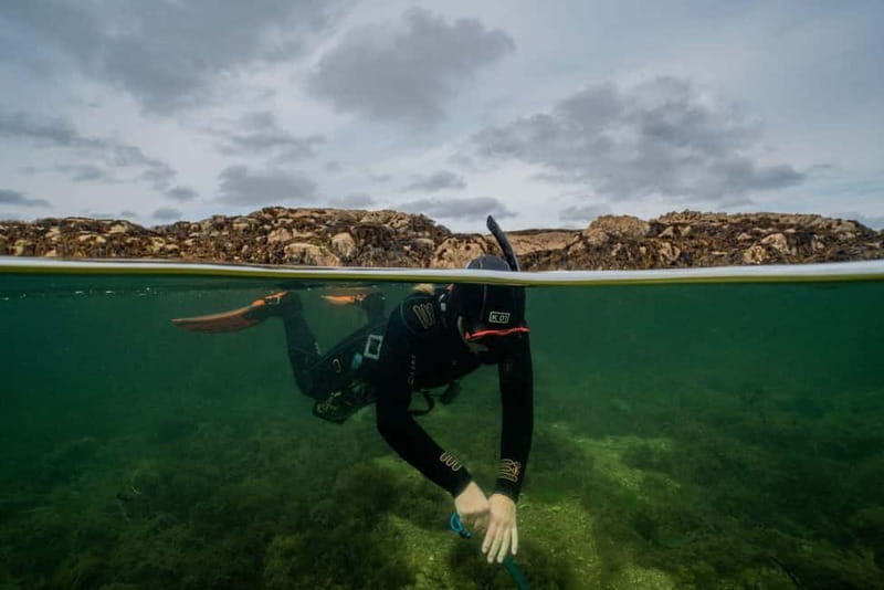 Coral Beach Snorkeling Galway - Exploring the Underwater Landscape: What You’ll See