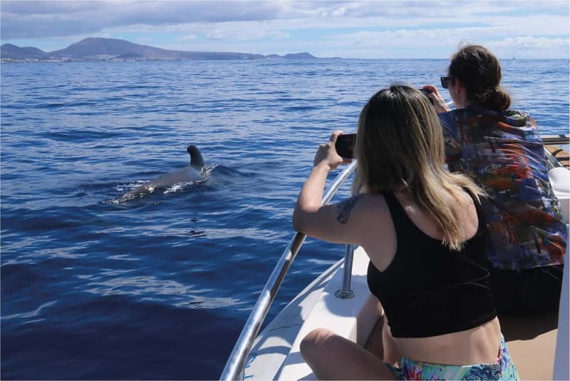 Costa Adeje: Whale Watching Eco Experience with Hydrophone. - The Unique Listening Experience with Hydrophone