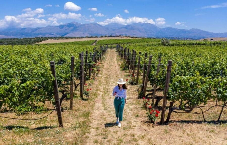 Crete: Knossos Palace and Archanes with Wine Tasting Tour - Who Is This Tour Best For?