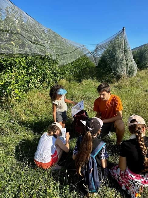 Detective Club: a nature investigation game for the whole family! - FAQ