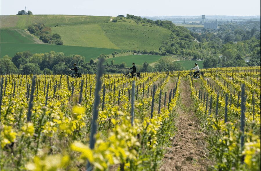 Dijon/Beaune: Full day Ebike Burgundy tour, tastings & lunch - Transport, Timing, and Value