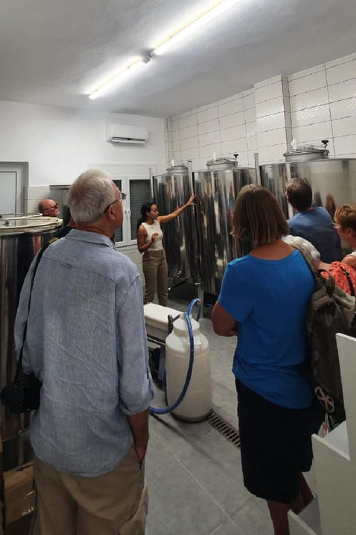 Discover the world of Extra Virgin Olive Oil - Who Will Love This Experience?