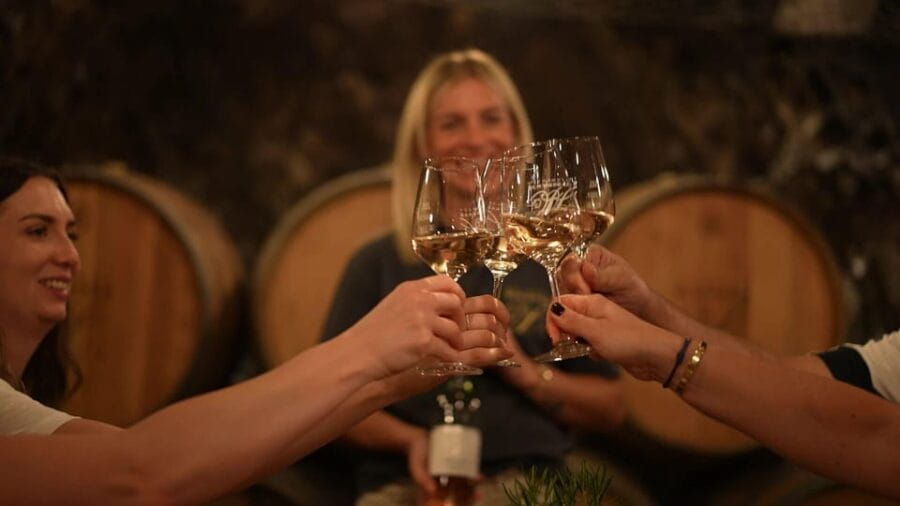 Discovery tour - cellar tour with wine tasting - Key Points/Takeaways