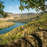 Douro Valley Tour with Lunch, Visit to a Vineyard, Boat Trip - The Itinerary: A Closer Look at the Day