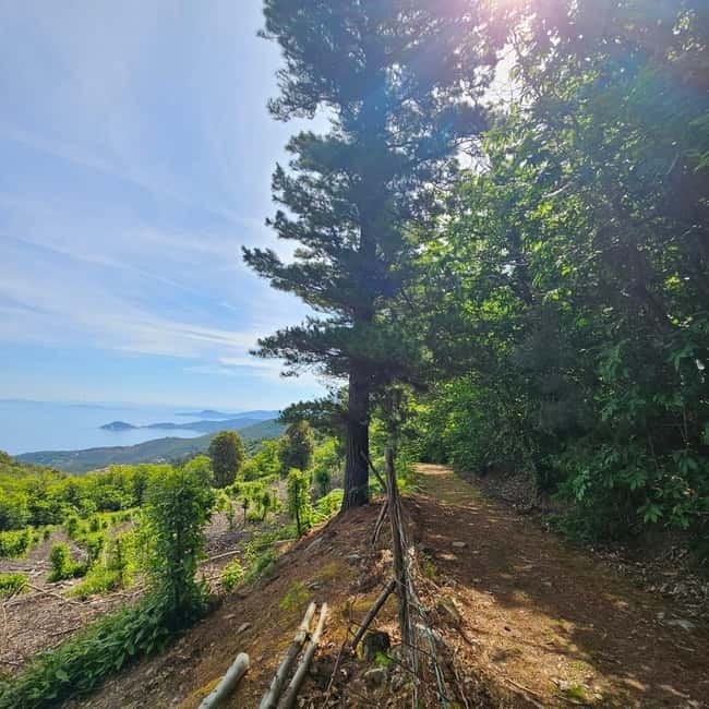 E bike Excursions and Lunch in Monte Capanne - Why This Tour Is a Great Choice