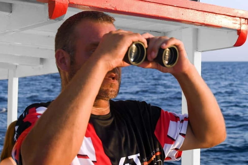 FAZANA Koralj DOLPHIN Boat Tour NP Brijuni - What You Get and What You Don’t: Practical Details