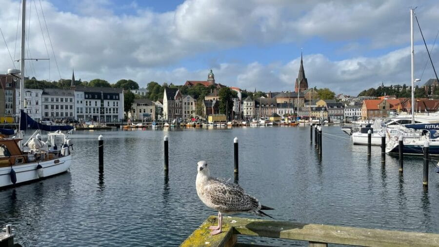 Flensburg: Running tour with insider tip guarantee - The Heart of the Experience: Why It Works