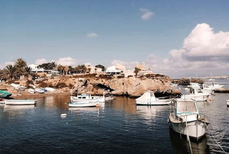 From Alicante and Torrevieja: Excursion to Tabarca, Santa Pola and Laguna Rosa - The Charm of Tabarca: Spain’s Smallest Inhabited Island