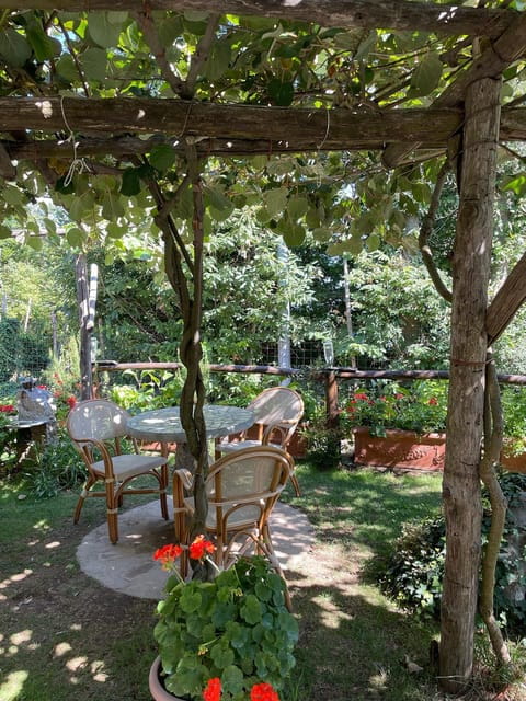 From Amalfi: Amalfi Coast Tour & Cooking Class with Transfer - Price and Value