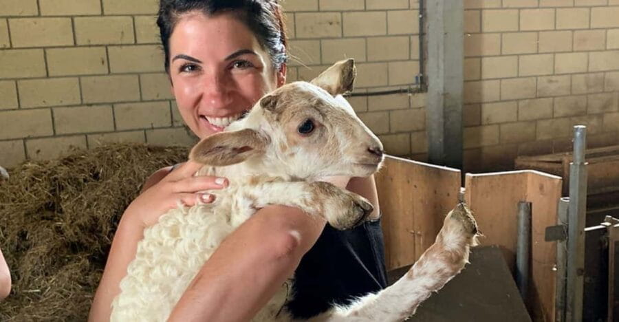 From Bilbao: San Sebastian and Basque Cheese Farm Tour - Who This Tour Is Best For