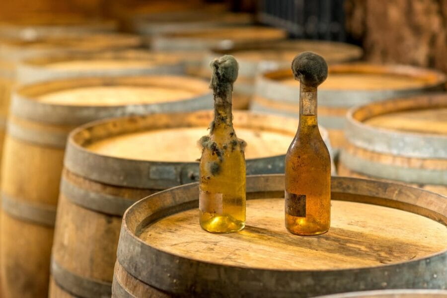 From Budapest: Tokaj Wine Tour with Tasting and Lunch - Discovering the Charm of Tokaj: An In-Depth Review