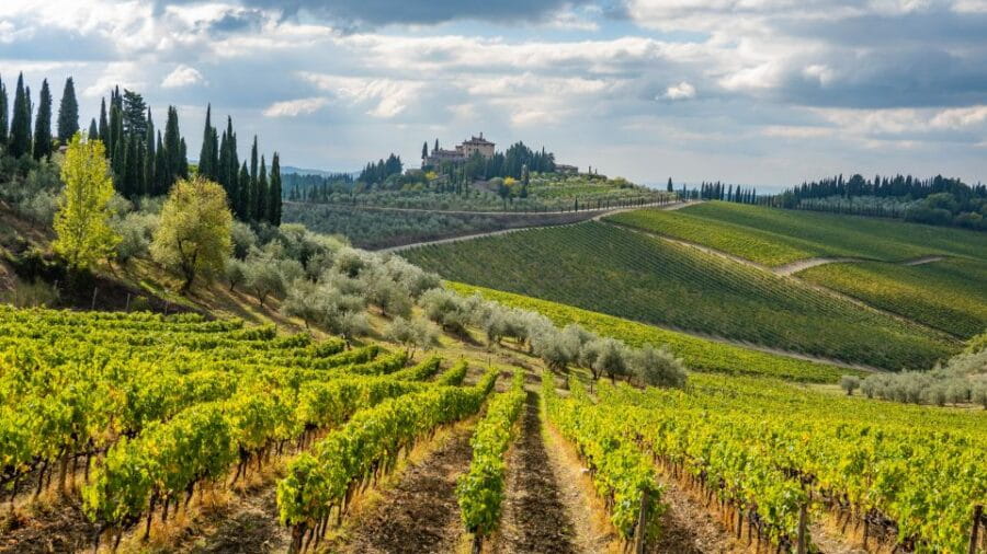 From Florence: Wine Tour in Siena and Tuscan Countryside - Discovering Siena and Its Medieval Charm