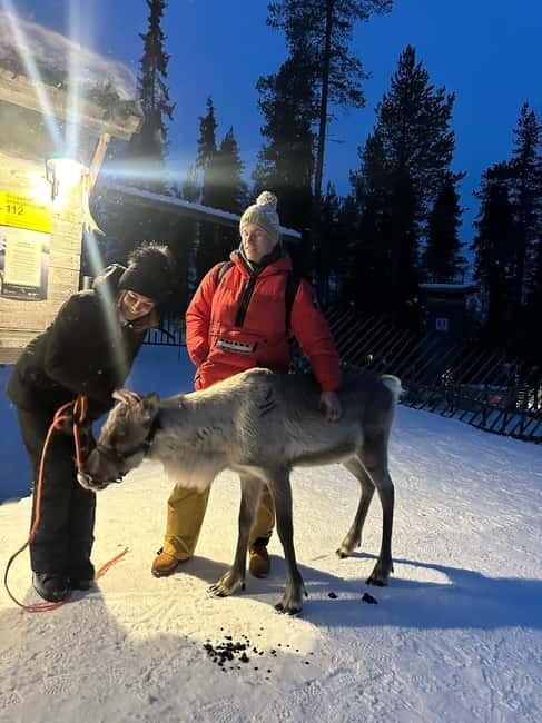 From Helsinki: 7-Day Lapland Northern Lights Tour - Who This Tour Is For