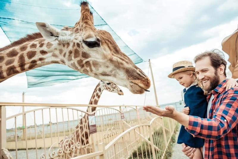 From Krakow: Zoo Trip with Private Luxury Transfer - What to Expect at Krakow Zoo