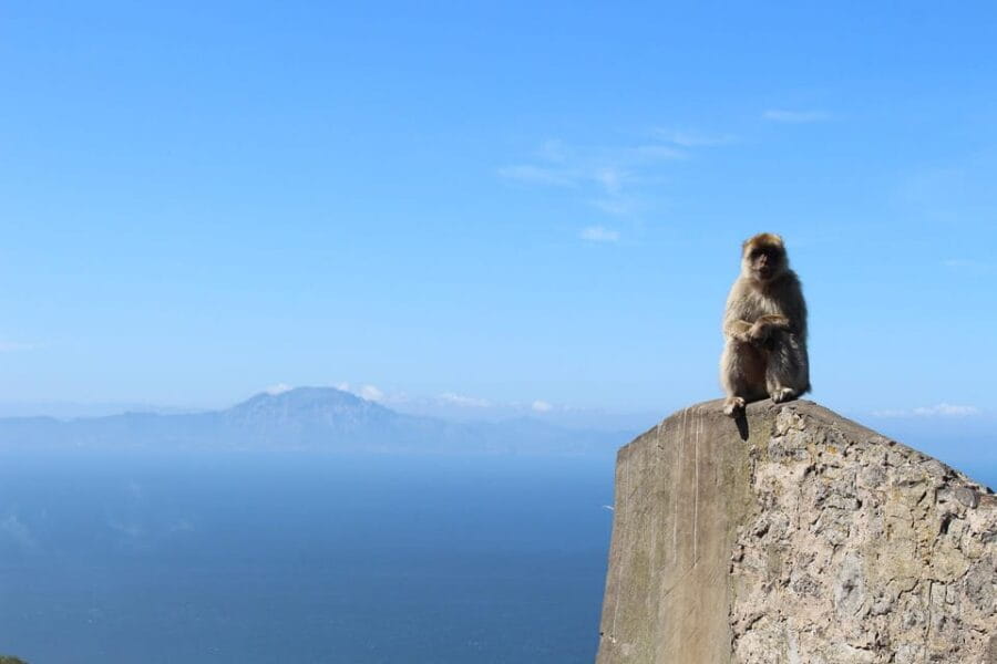 From Malaga: Gibraltar and Tangier Private Day Trip - Price, Value, and Practical Considerations