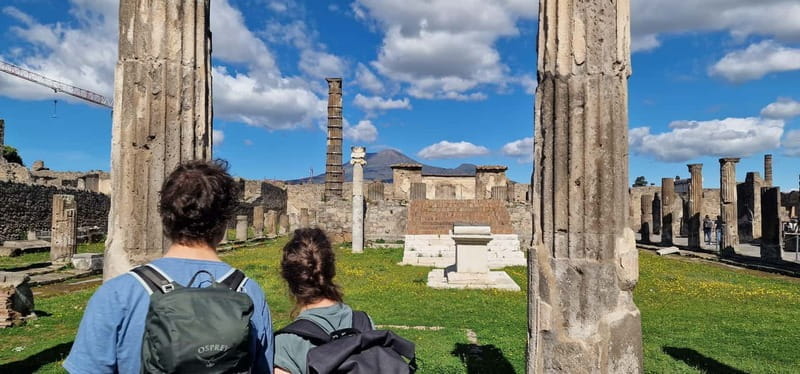 From Naples: Pompeii Private Tour with Transfer and Guide - Who Will Love This Tour?