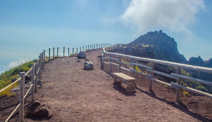 From Naples: Vesuvius and Herculaneum Day Trip with Tickets - Who Will Enjoy This Tour?