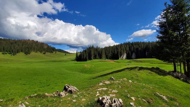 From Oradea: Apuseni Mountains Guided Hiking Tour - Who Should Consider This Experience?