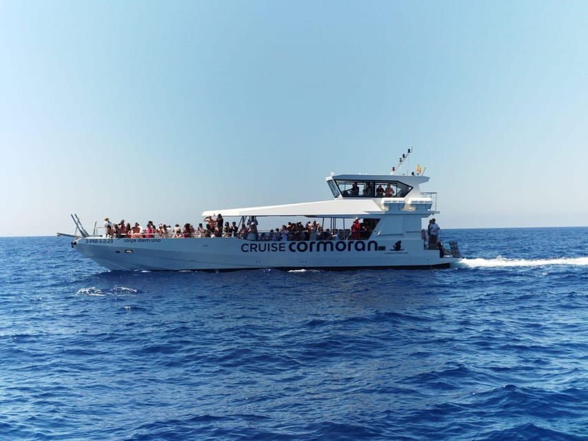 From Palma: Afternoon Dolphin-Watching Boat Tour - Who Will Love This Tour?