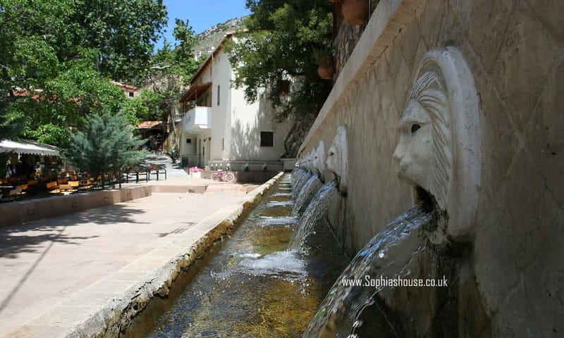 From Rethymno: Preveli Palm Forest, Damnoni and Plakias Tour - An In-Depth Review of the Rethymno to Preveli Palm Forest, Damnoni, and Plakias Excursion