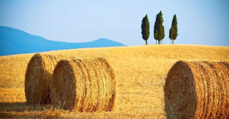 From Rome: Private Tuscany Day Trip - Exploring the Tuscan Towns: A Closer Look