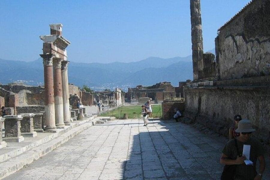 From Sorrento: Pompeii and Mount Vesuvius Tour - Who Should Book This Tour?