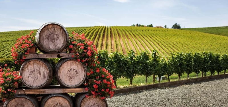 From Tbilisi: Kakheti Day Trip with Wine Tasting & Lunch - Price and Logistics: Better Value Than You Might Think