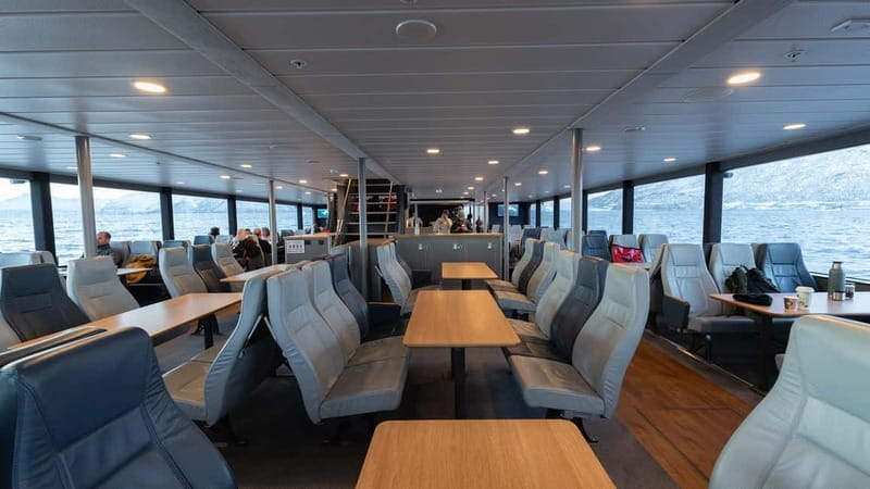 From Tromsø: Whale Watching Safari on High-Speed Catamaran - Practical Tips for Your Whale Watching Day