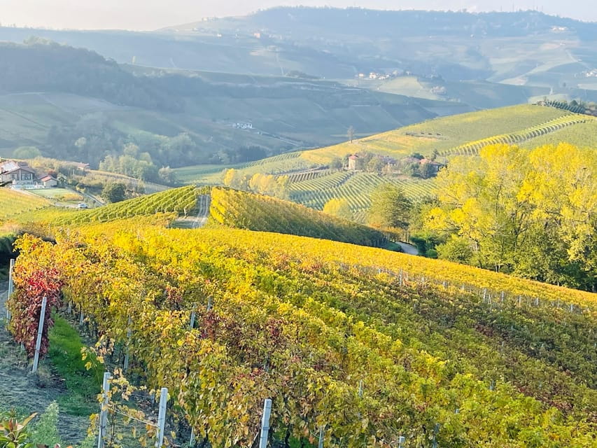 From Turin: Barolo & Barbaresco Tasting Tour - Exploring Piedmont’s Wine Country: A Practical Guide
