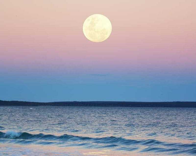 Full Moon Magic  2h Night Sailing in Sotogrande - Who this experience best suits