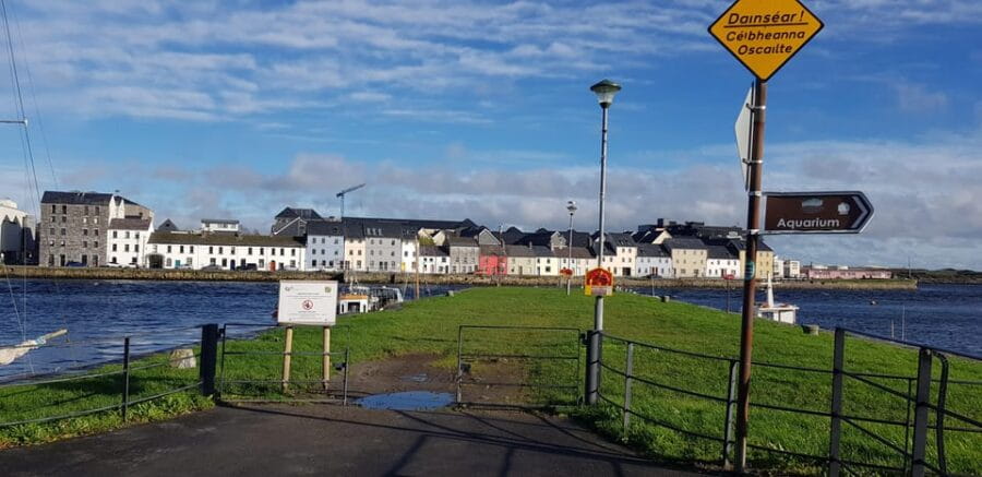 Galway Private Walking Tour - Price and Value