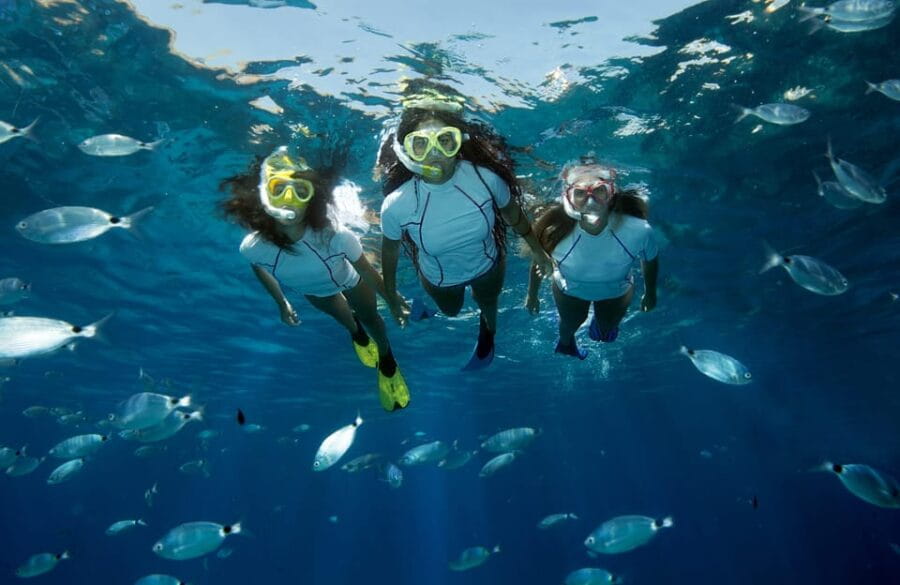 Genoa: snorkeling a stone's throw from downtown - What to Expect: The Day in Brief