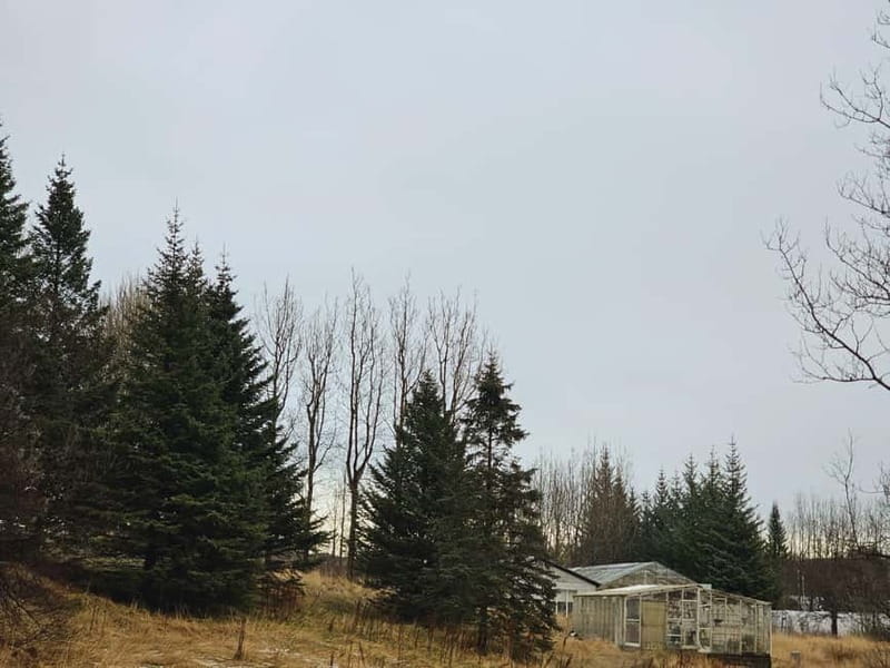 Golden Circle Private Tour with Lava Tunnel - The Itinerary: A Day Well Spent