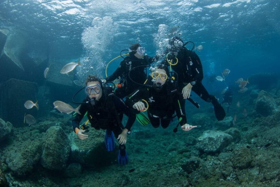 Gran Canaria: Discover Scuba Diving Beginner Program - Who This Experience Suits Best