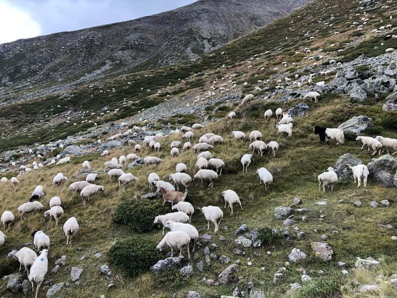 Gudauri and Kazbegi: Private Day Trip from Tbilisi - Price and Logistics: Worth the Investment?