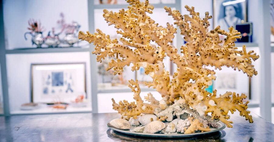 Guided tour of the coral museum in Sciacca - Why This Experience Matters for Travelers