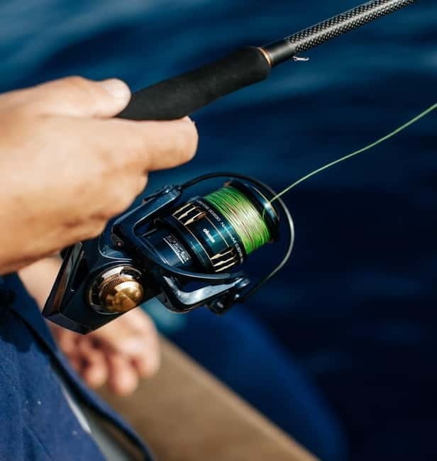 Gulf of Ajaccio: Private Fishing Trip in a Perle Blanche - Price and Value