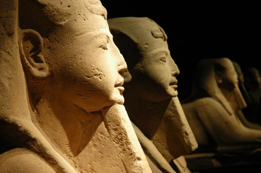 Half Day from Milan: discover the Egyptian Museum of Turin - Inside the Collection: What Makes It Special