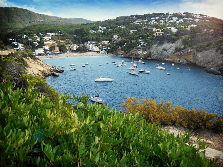 Ibiza: Land & Sea (Buggy+Paddle Surf) - Who Should Consider This Tour?