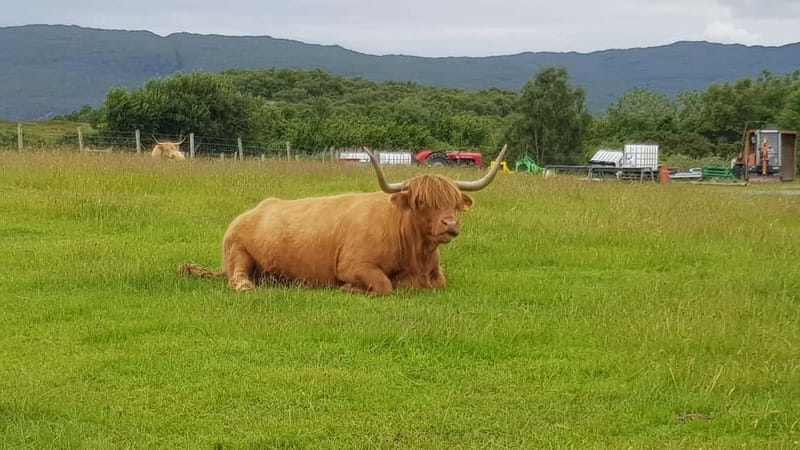 Inverness: Outlander Tour, Culloden, Clava Cairns & more - Starting Point: Inverness