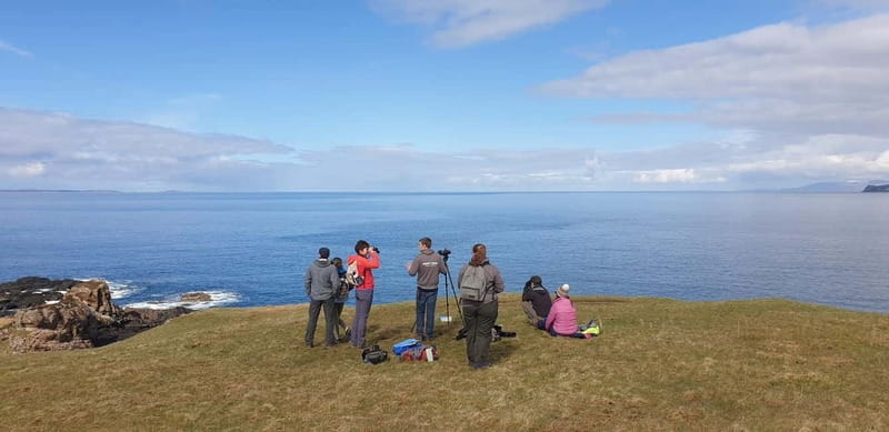 Isle of Mull: Guided Wildlife Watch at Glengorm Castle - The Sum Up
