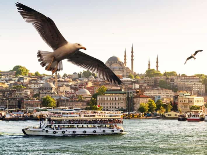 Istanbul: Bosphorus Morning/Sunset Cruise with Optional Stop - The Logistics: Timing, Transportation, and Group Size