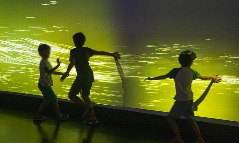 Istanbul: Digital Experience Museum Entry Ticket - What to Expect Inside the Digital Experience Museum