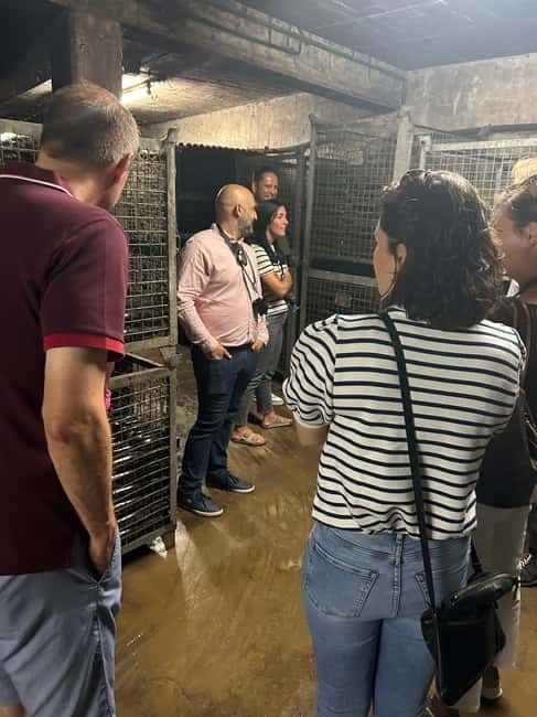 Johannisberg Rheingau: Wine tasting with cellar tour and hike - Visiting the Castle Gardens and a Little History