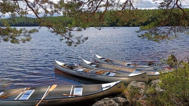 Johannisholm: Guided Canoe Tour on Lake Venjanssjön - Price and Logistics: Making It Work For You