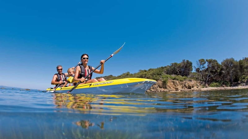 Kayak Excursion - Summary and Who Should Consider This