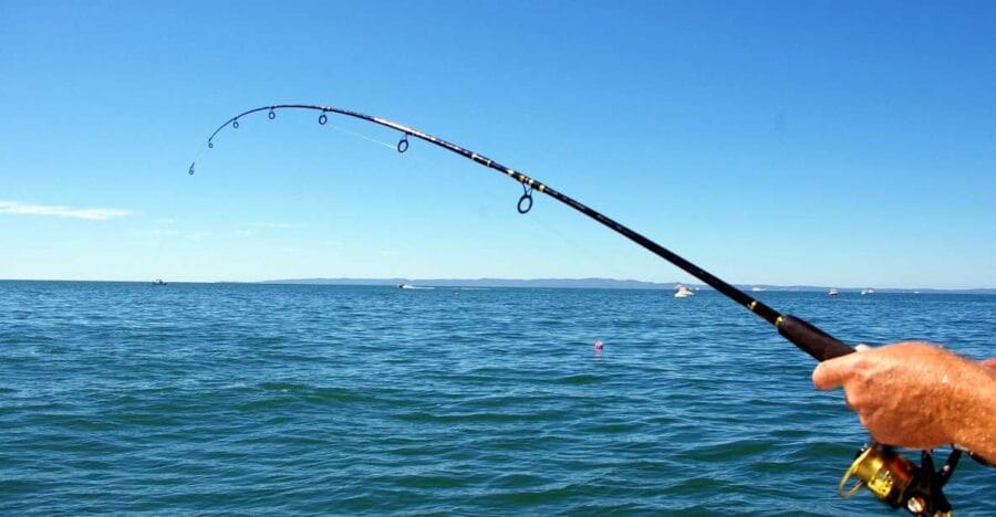 Kos: Fishing Trip Experience with a Greek Fisherman's Family - The Coastal Scenic Route