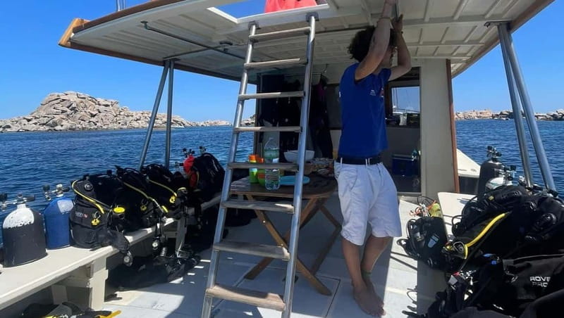 La Maddalena Archipelago & Lavezzi: Adventure Dives trip - What Makes This Tour Stand Out?
