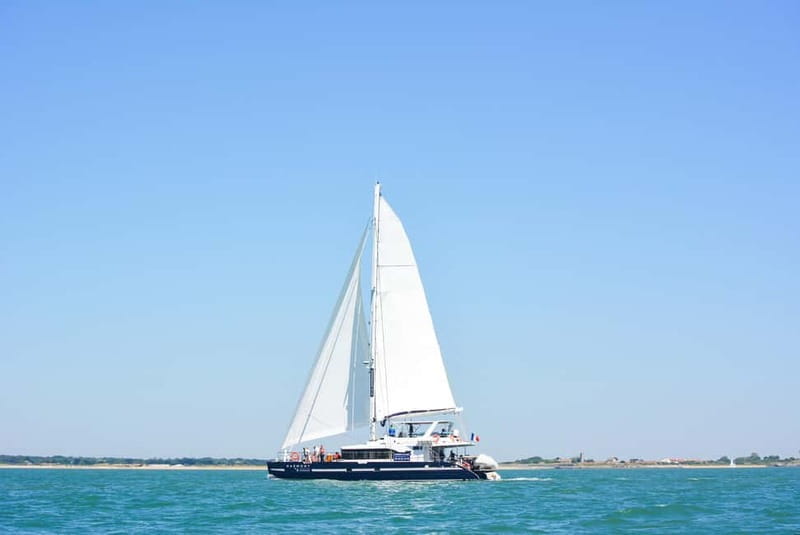 La Rochelle : Catamaran Tour - Price and Logistics: Making the Most of Your Booking